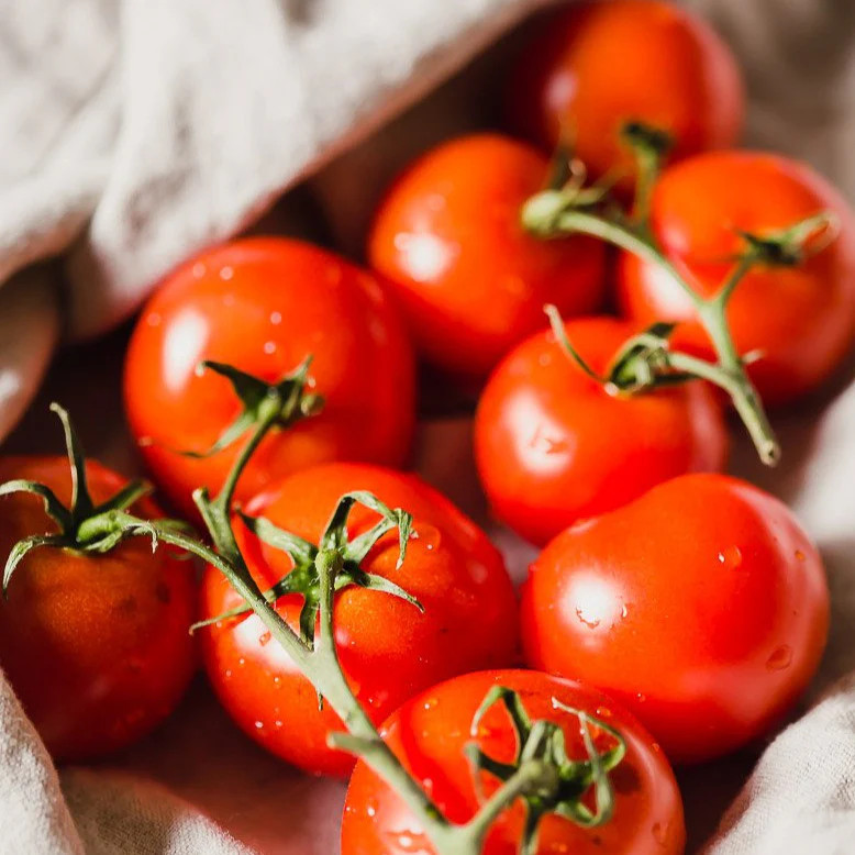 Moneymaker Vine Tomato Seeds | Indeterminate Cordon Stake Tomatoes Seed for 2025