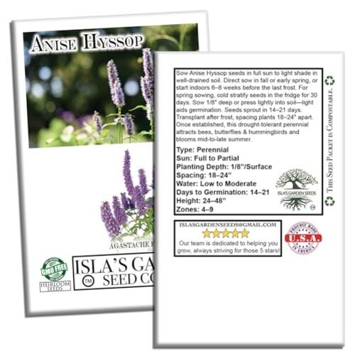 Anise Hyssop Seeds (Agastache foeniculum) – 500+ Non-GMO Heirloom Herb &