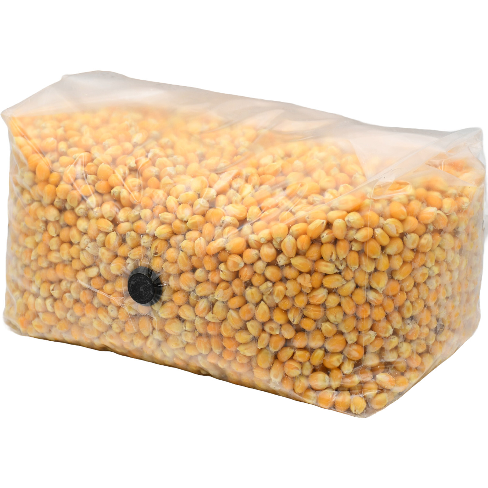 Sterilized Popcorn Grow Bag (25lbs)