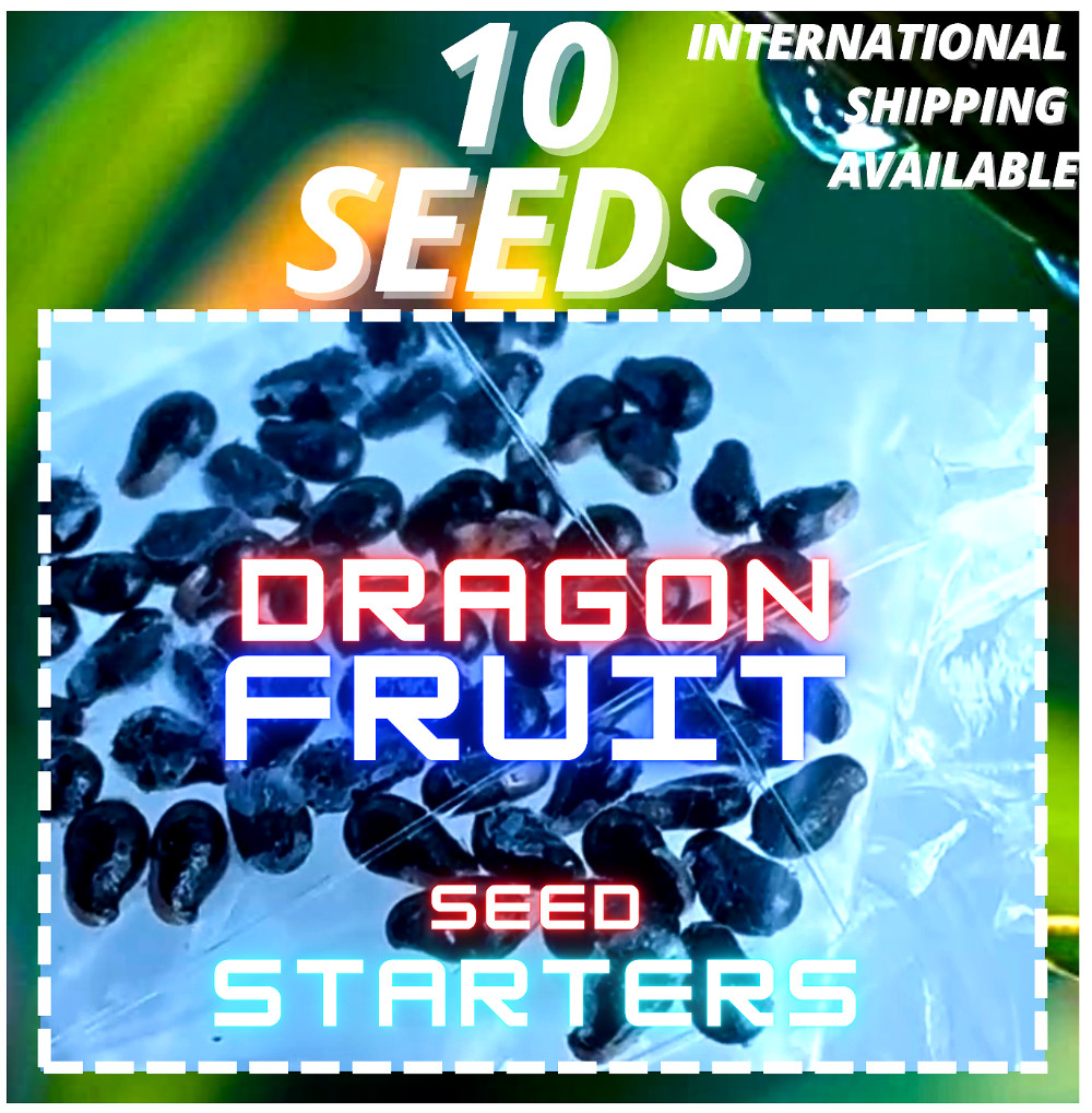 Celeste Dragon Fruit