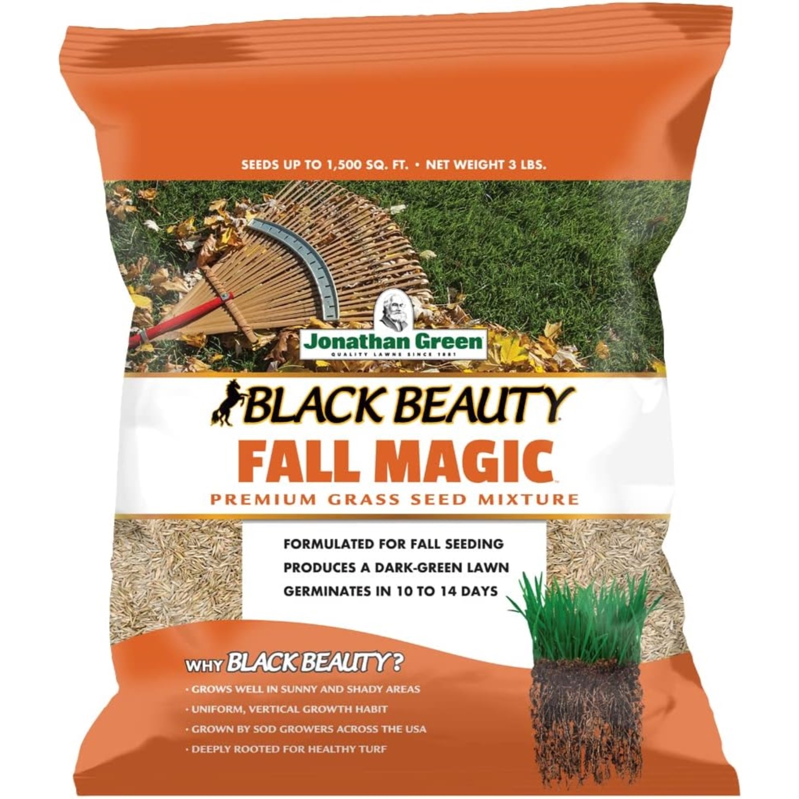 Jonathan Green Black Beauty Fall Magic Grass Seed, 3lb