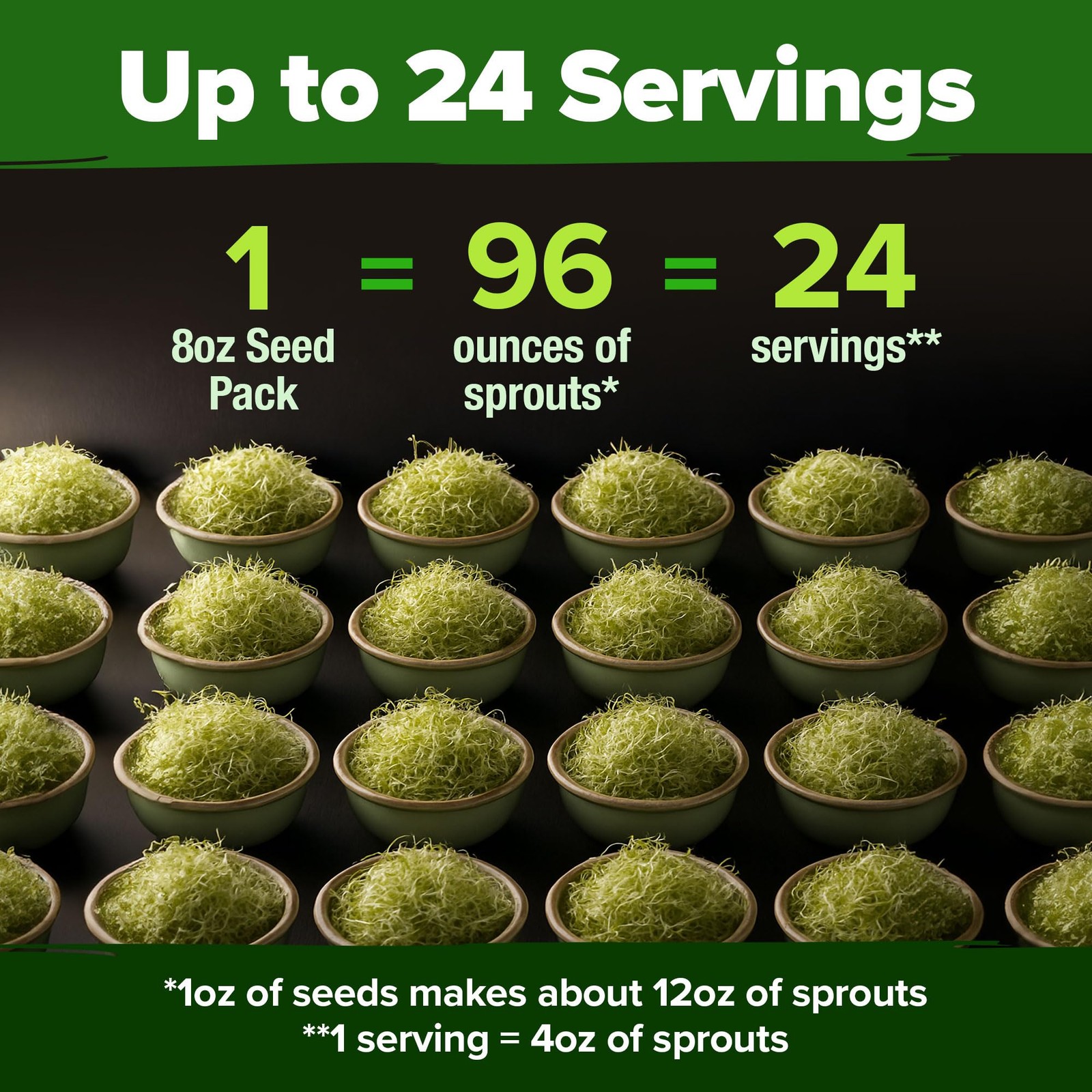 HOME GROWN Alfalfa Sprout Seeds 8 oz Bulk Heirloom Non-GMO, USA 1-Pack, Green