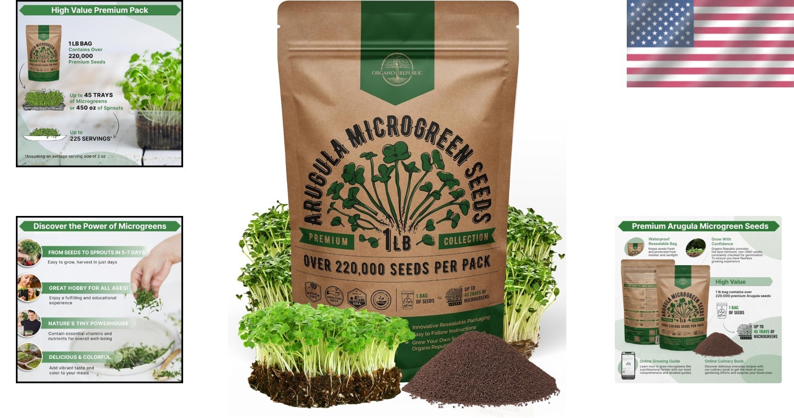 Arugula Sprouting Seeds 1lb Non GMO Heirloom High Germination Rate Fresh Greens