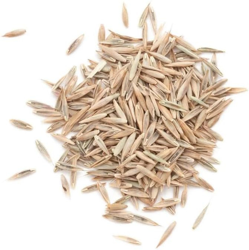Contractors Choice Grass Seed 50Lb, Premium Lawn Seeds for Full Sun Shade Bare S