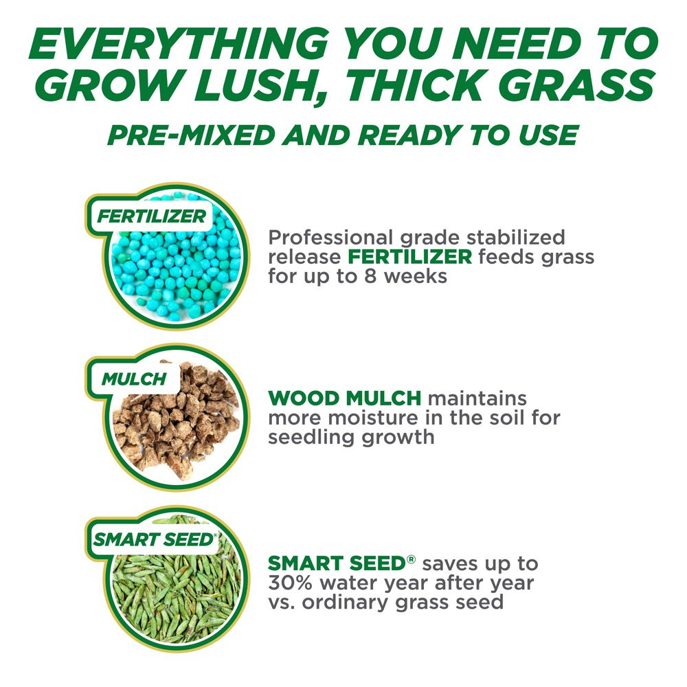 GRASS SEED PATCH REPAIR Tall Fescue for Sun to Partial Shade