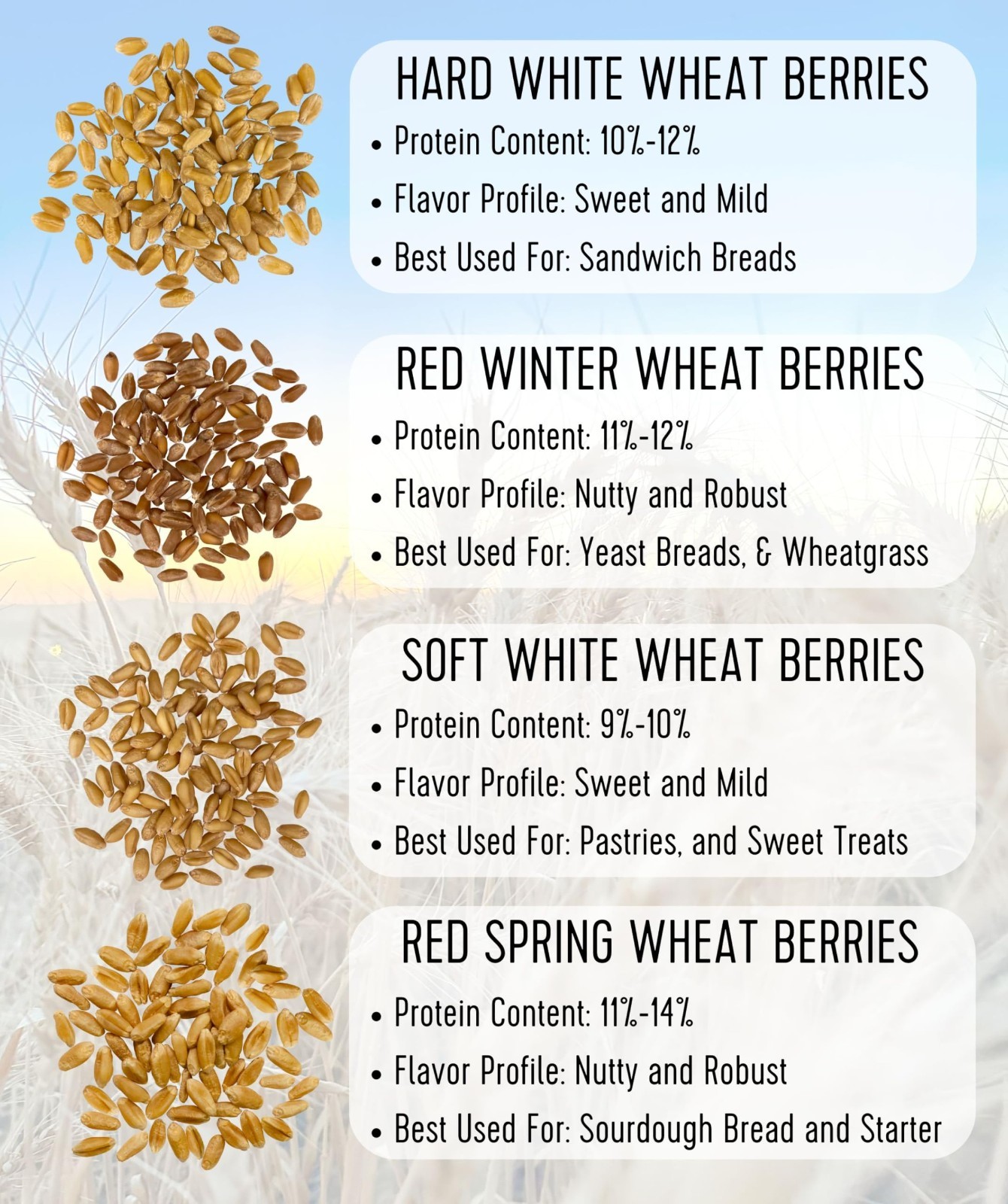 Certified Glyphosate-Free Hard White Wheat Berries | 25 LBS | Non-GMO, Kosher, S