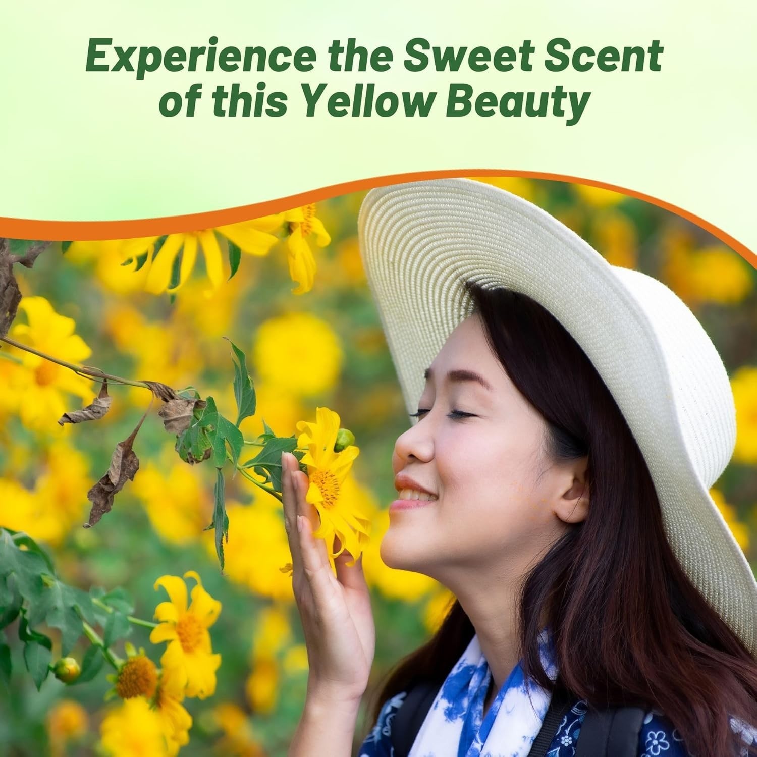 Yellow Mexican Sunflower Seeds 500 Pcs – Drought Tolerant Annual for Gardens,…