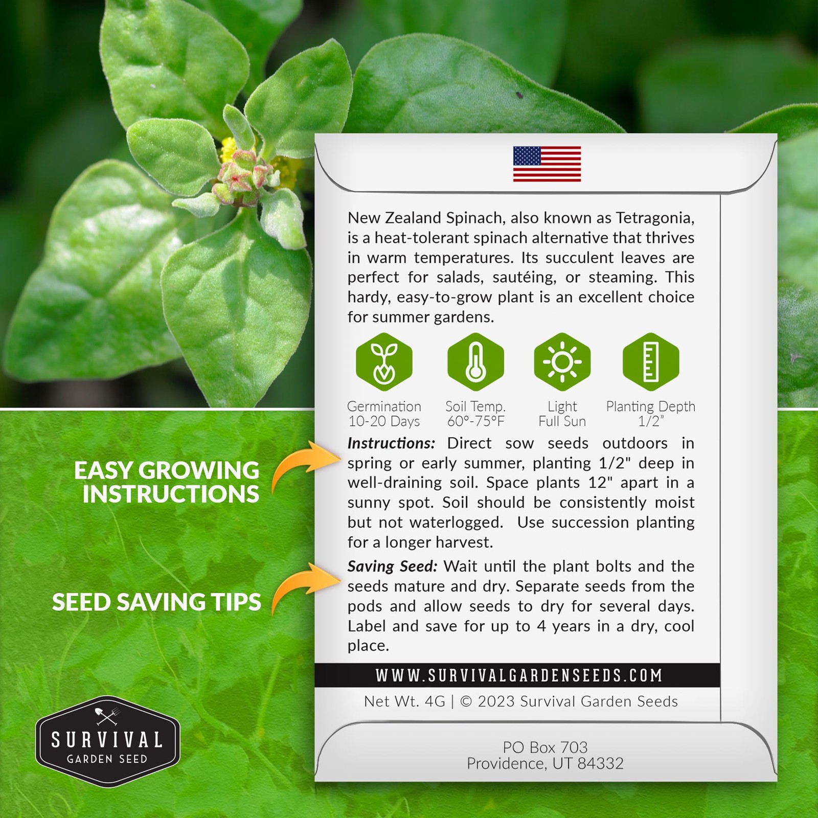 New Zealand Spinach Seeds for Planting | Heat Tolerant Summer Green