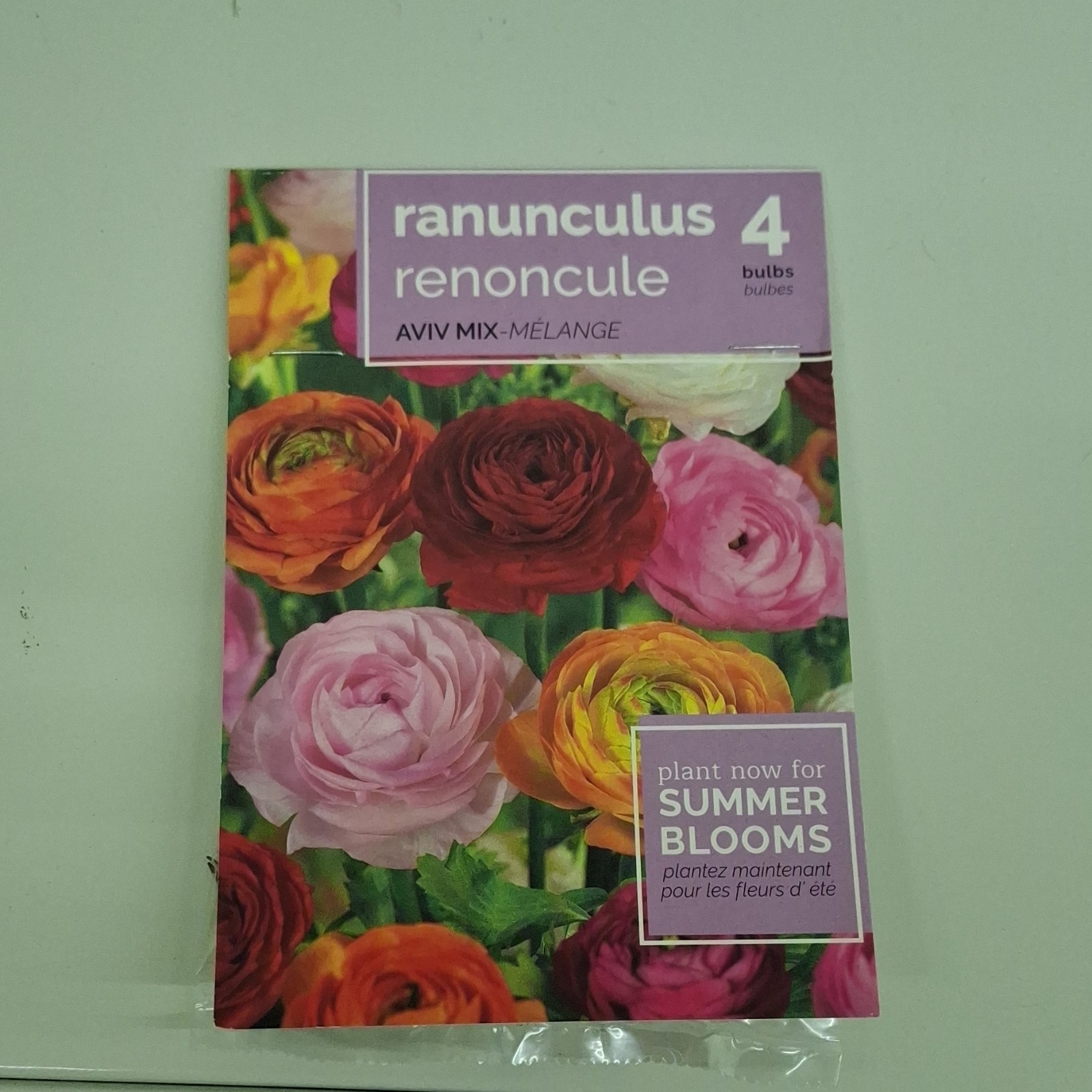 Ranunculus Flowering Bulbs Aviv Mix Red Pink White Yellow Orange Summer Blooms