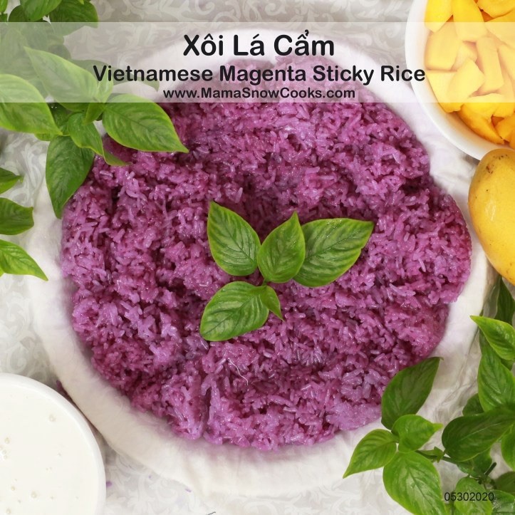 20in Cay La Cam – Vietnamese Magenta plant – Lá Cẩm