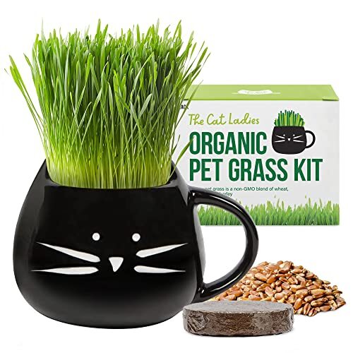 Organic Cat Grass for Indoor Cats – Growing Kit with Organic Seed Mix Soil an…