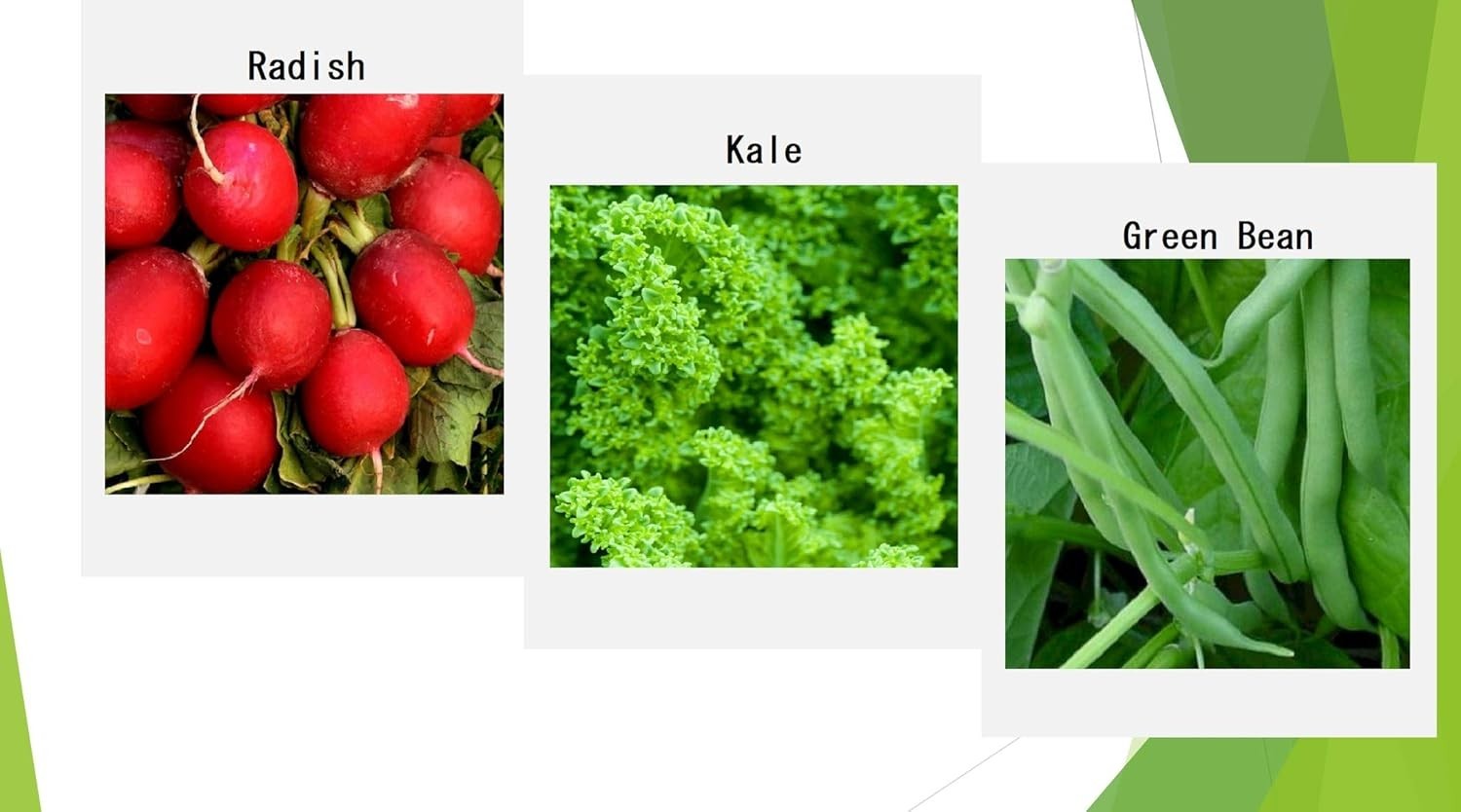 Winter Vegetable Seeds Collection for Planting Organic Non-GMO Heirloom Seeds…