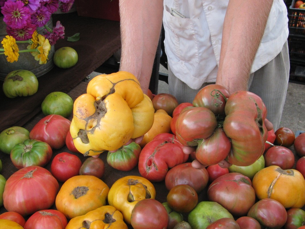 DOOMSDAY/PREPPERS SURVIVALIST EMERGENCY Cache 101 Varieties! 47,000+ Seed KIT
