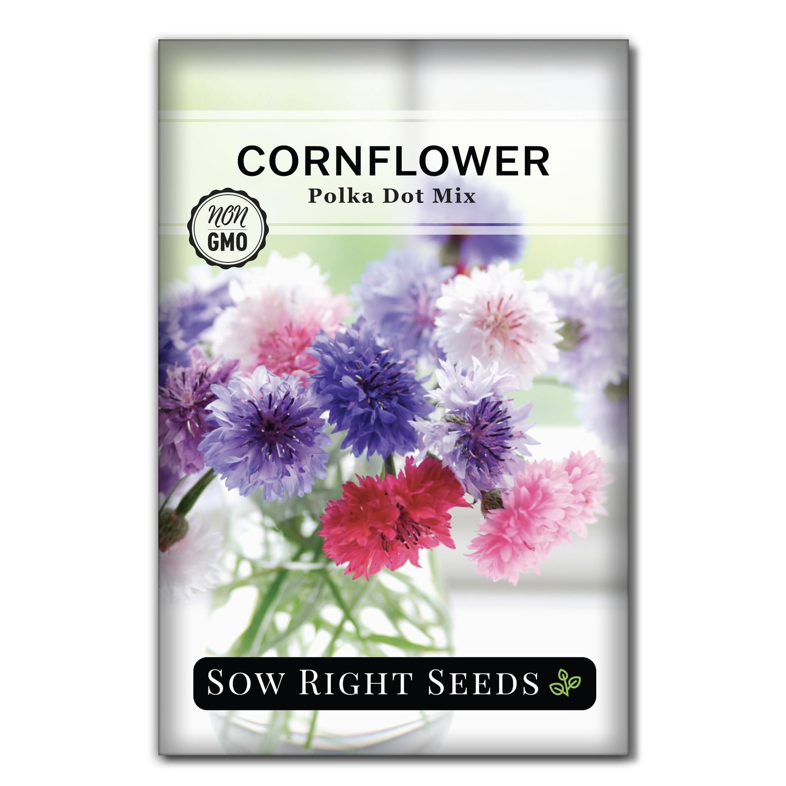 Sow Right Seeds – Polka Dot Mix Cornflower for Planting – Non-GMO