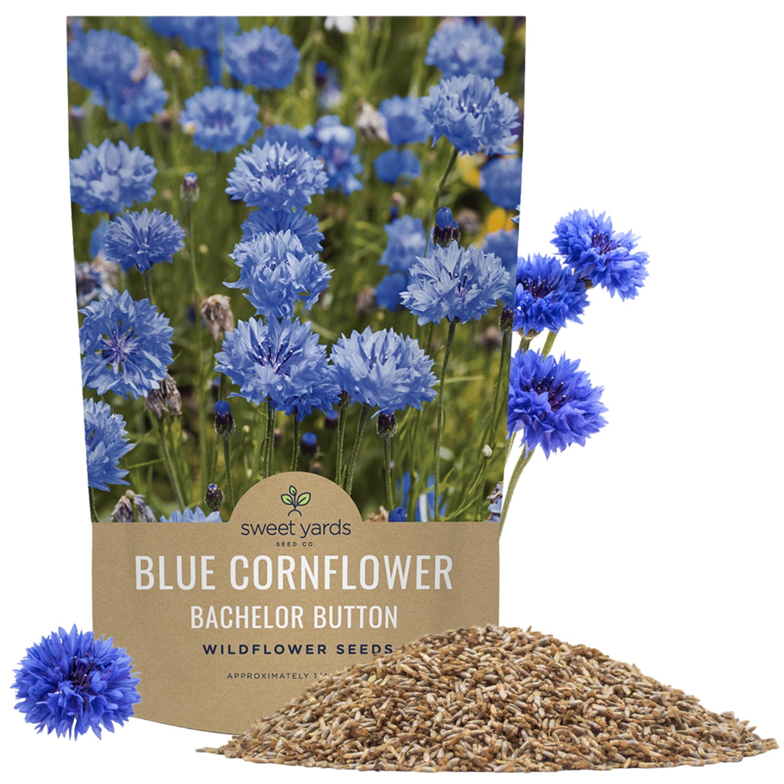 Blue Cornflower Seeds – Bachelor Buttons – Bulk Quarter 1/4 Pound Bag,