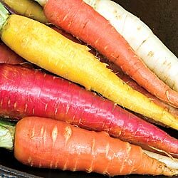 Carrot Rainbow Mix 1,000 seeds