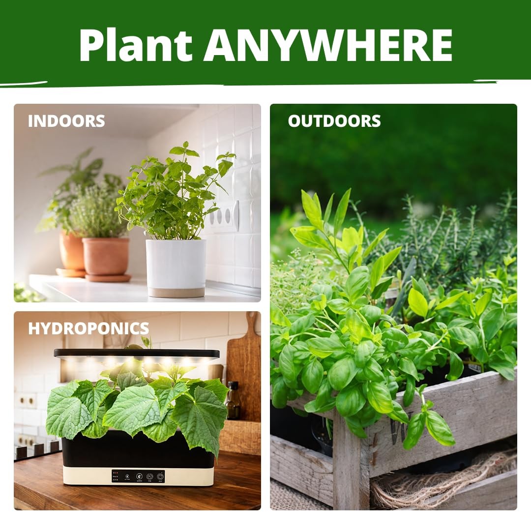 HOME GROWN Herb Seeds for Planting 15-Pack Massive Seed Count 4,300+ Seeds
