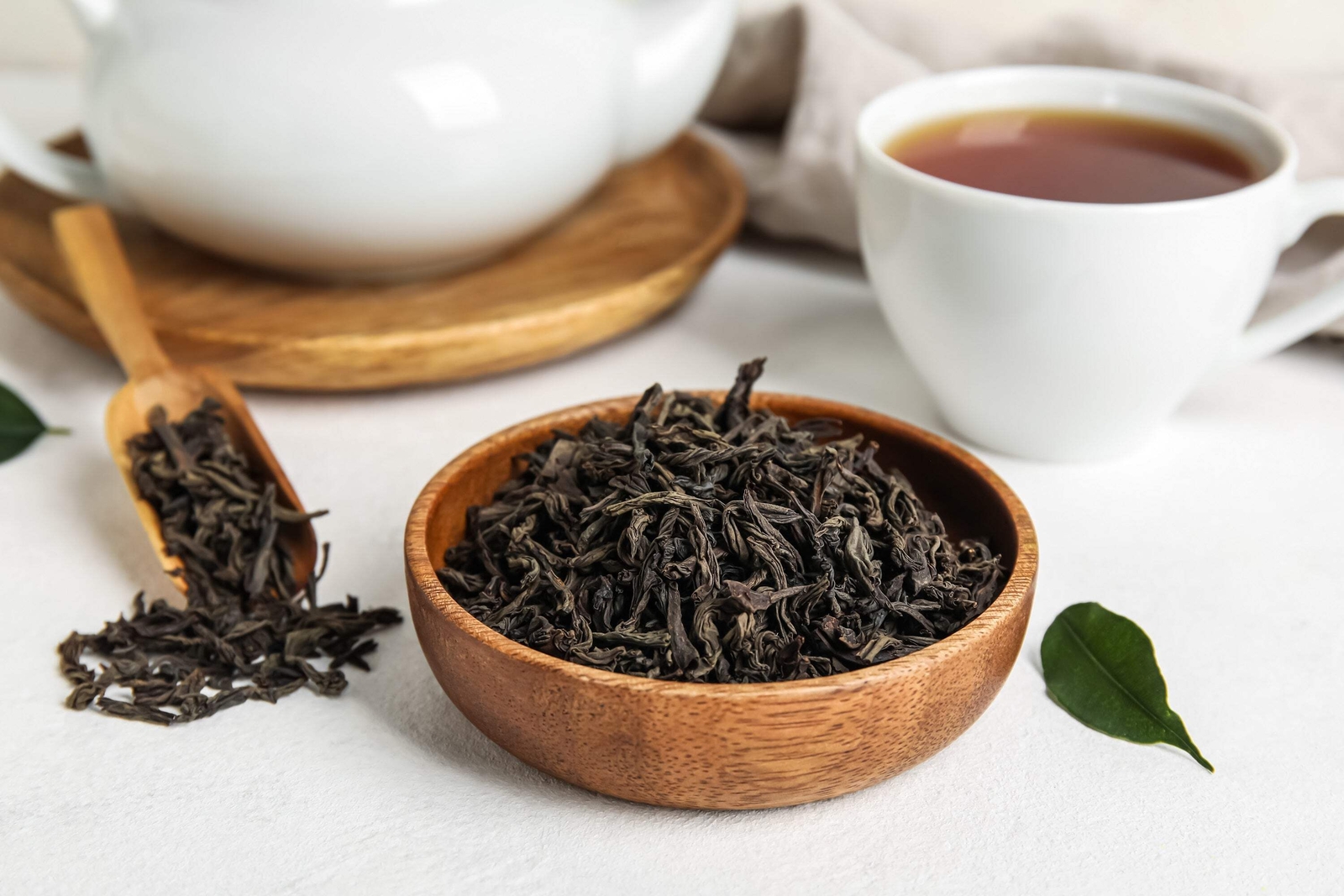 1 Lb Bulk TEA PLANT Black Green Drinking Camellia Sinensis Pound Shrub 385 Seeds