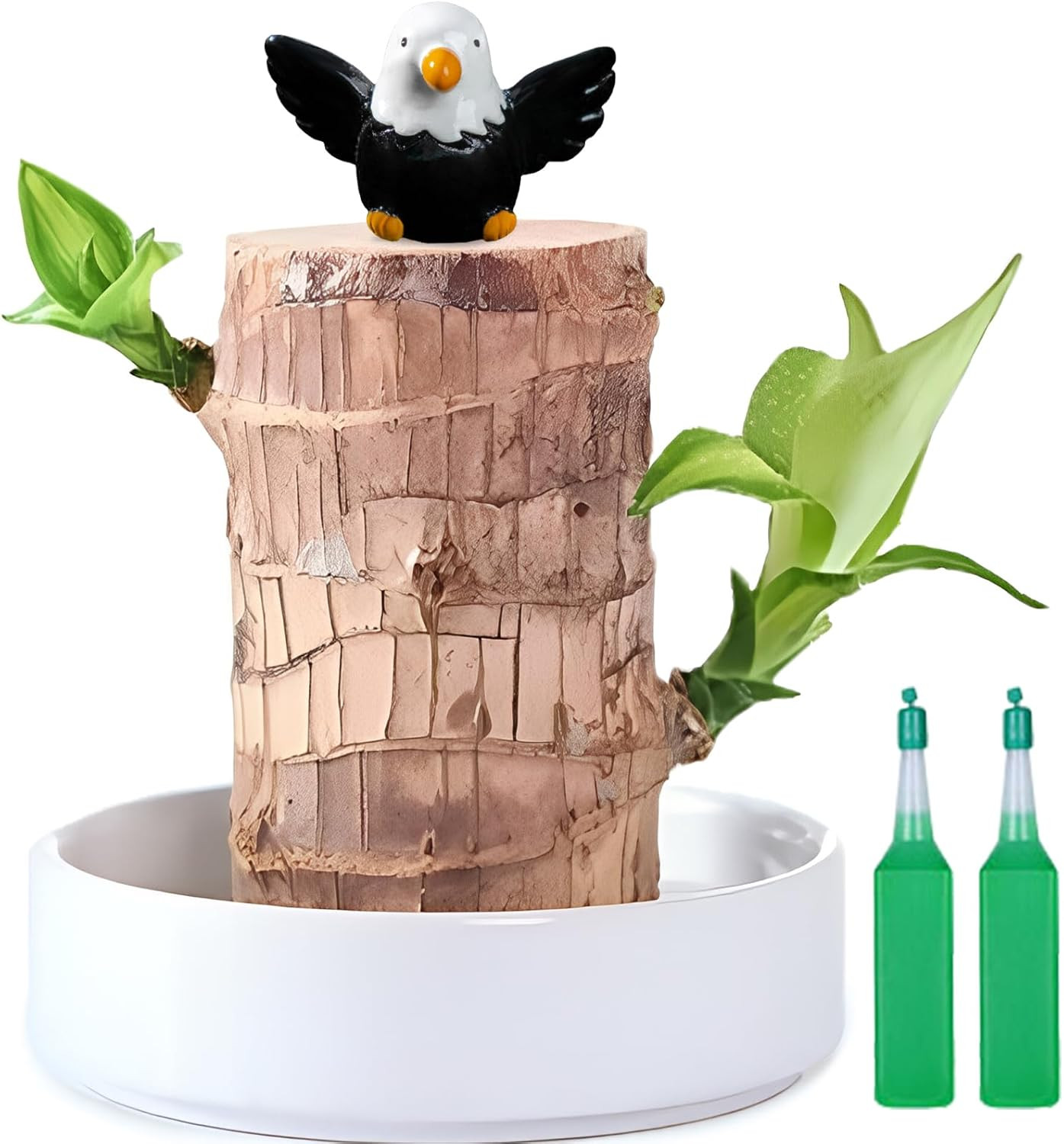 Brazilian Lucky Wood Plant,Fortune Brazil Wood Potted Plant with Eagle Figurine,