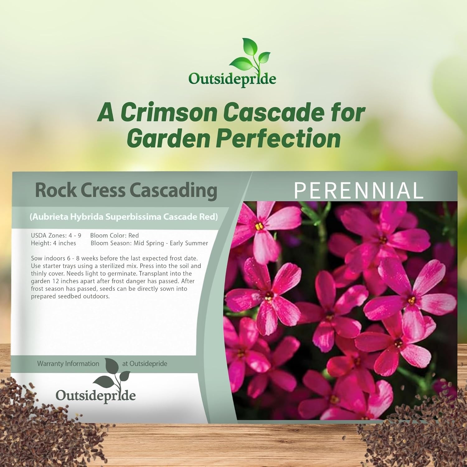 1000 Seeds Red Aubrieta Rock Cress Seed For Planting – Cascading Ground Cover