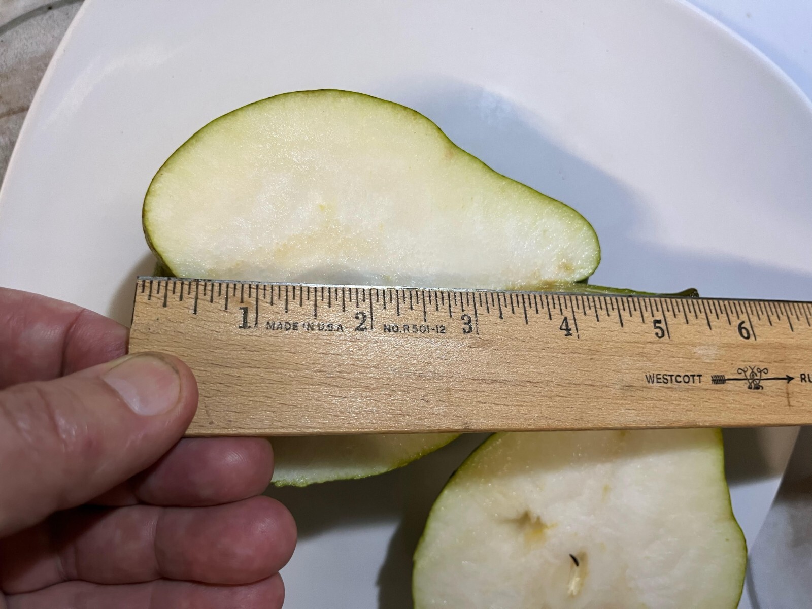 15 thin Giant Fruit Bartlett pear tree cuttings rooting grafting Great producer
