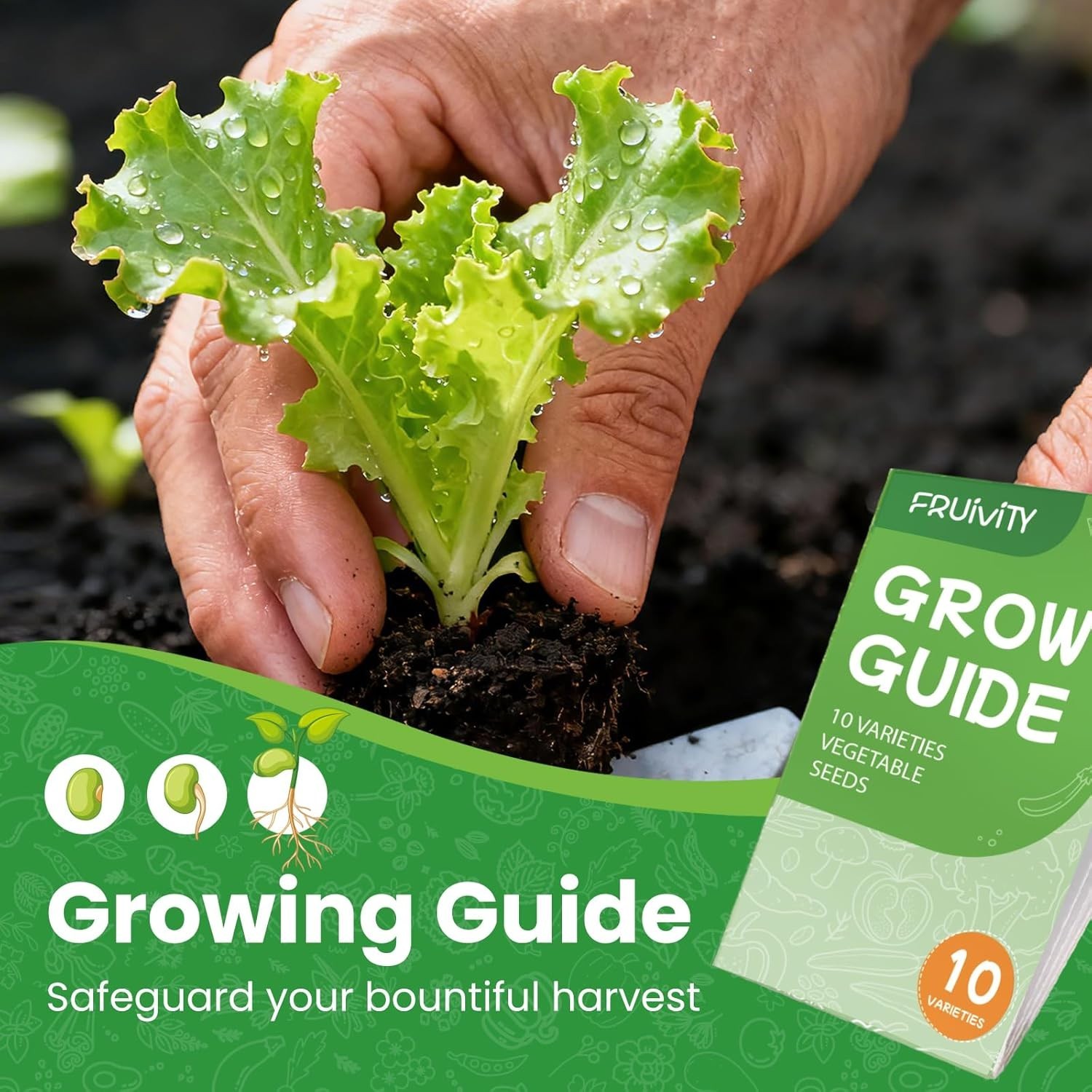 3200+ Heirloom Seeds Variety Pack – Indoor & Outdoor Gardening for Fresh Produce
