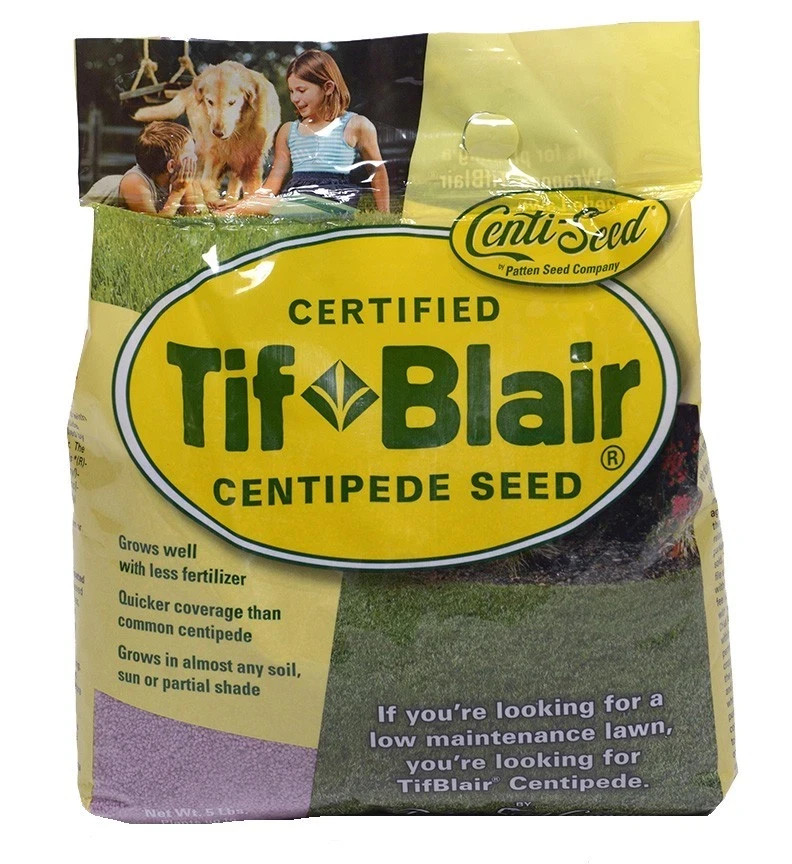 Tifblair Centipede Grass Seed