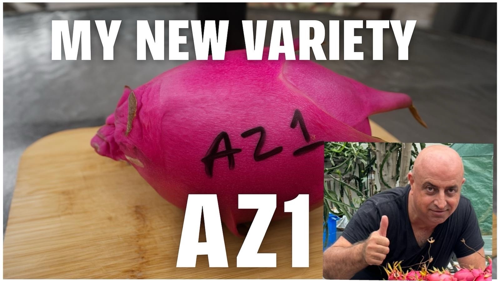 AZ Dragon Fruit Cuttings 8-12 Inches Check Description ￼