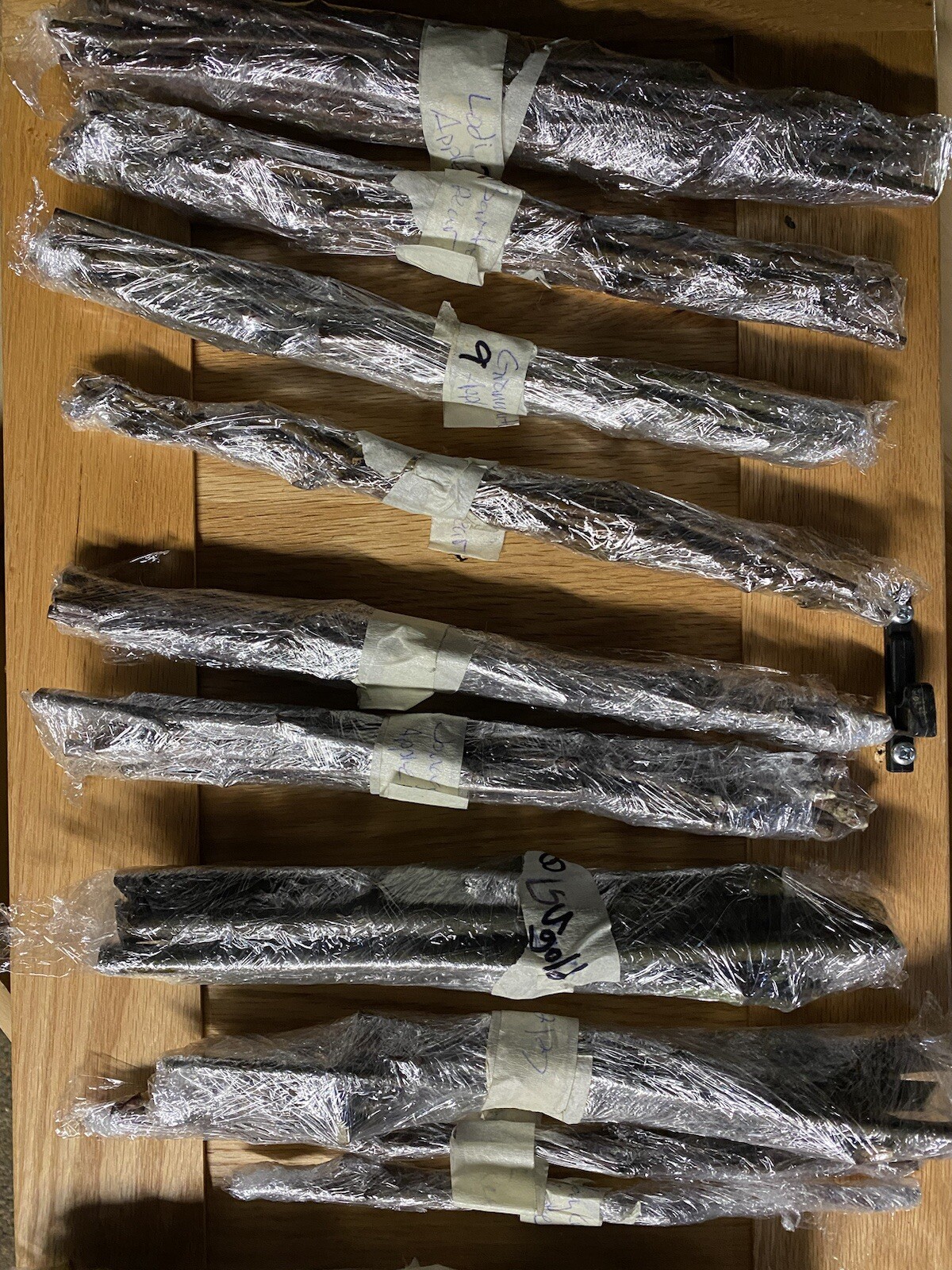 Fruit Tree Cuttings/scion Wood Dormant Apple/pear/plum/peach/fig/grape/persimmon