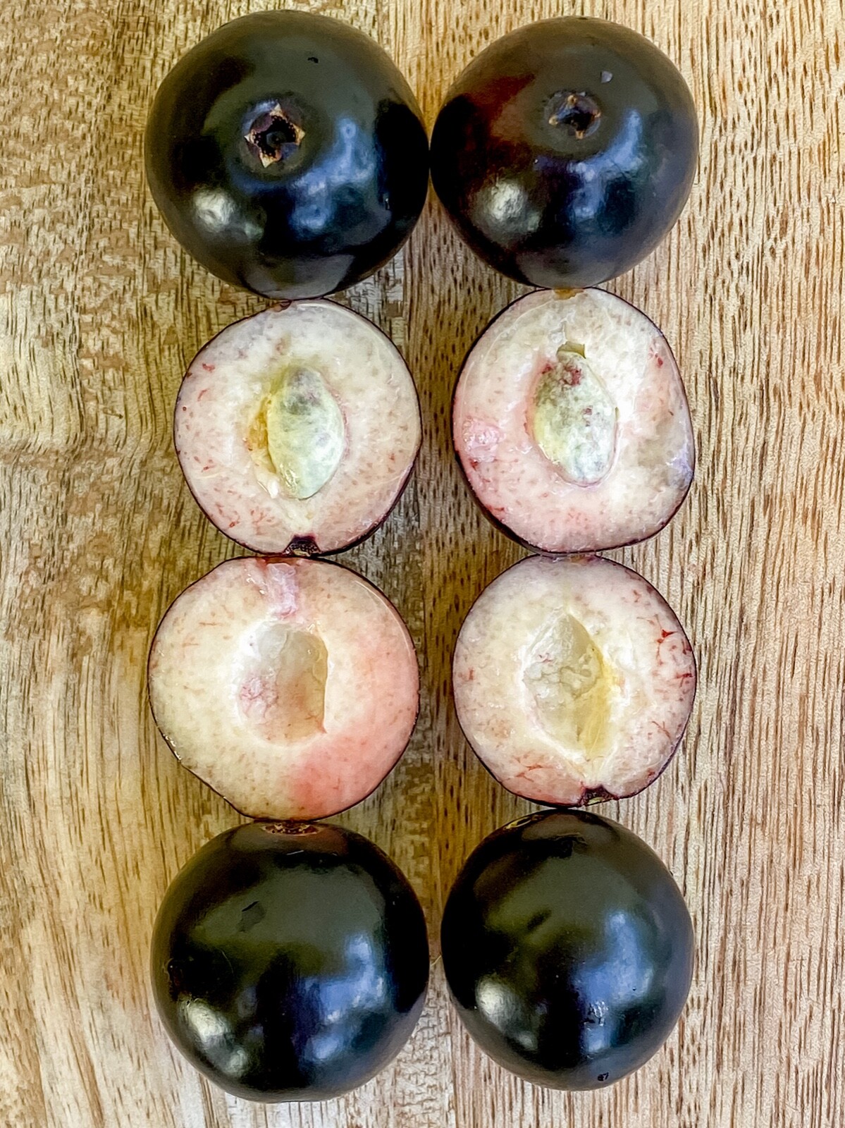 Rainforest Plum Eugenia Candolleana Cambui Roxo Murtinha Purple Fruit Tree Plant