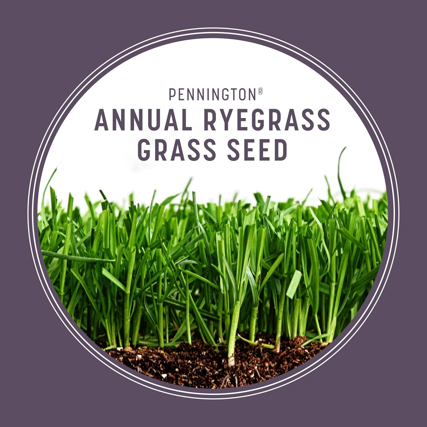 Pennington Annual Ryegrass Seed, Grass Seeds for Lawn, 10 Lb