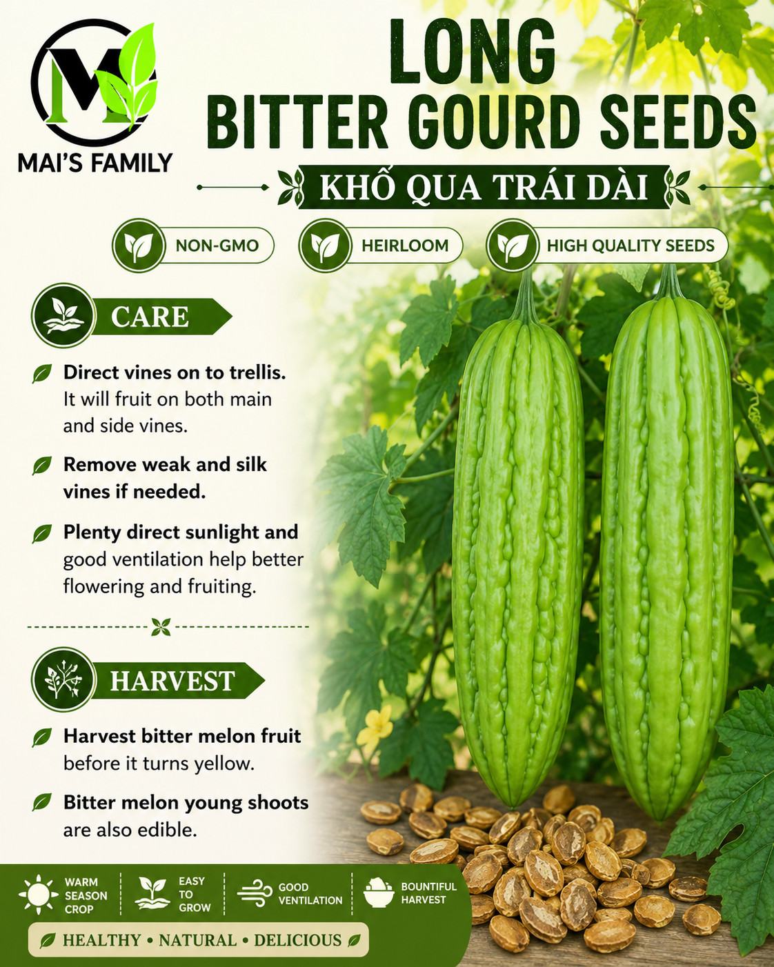 Vietnam Bitter Gourd, Khổ Qua Mỡ Trái Dài, Bitter Melon Seeds F1 Non-GMO