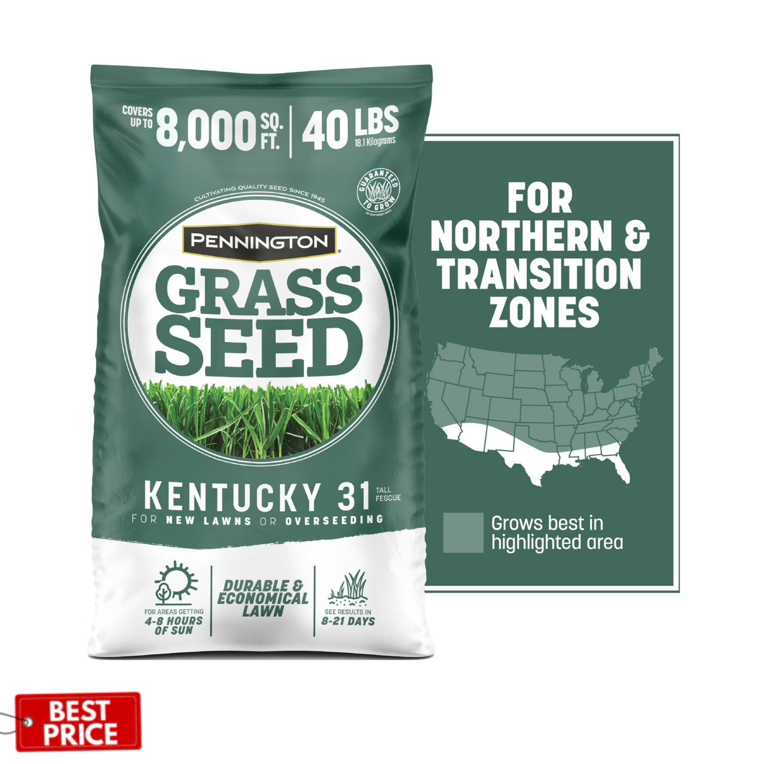 Pennington Kentucky 31 Tall Fescue Grass Seeds for Lawn, Sun to Partial Shade
