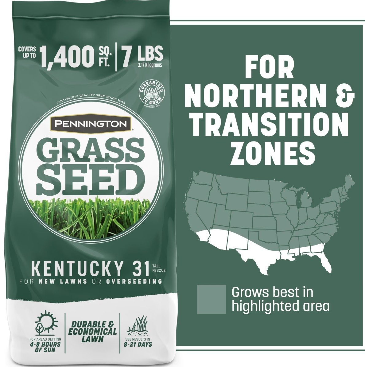 [FASH SALE] Pennington Kentucky 31 Tall Fescue Grass Seed Sun/Partial Shade 7 lb