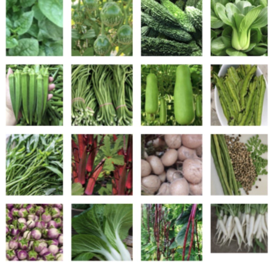 24 Packets of Asian Vegetable Seeds for Planting- Grow Your Own Food!😊
