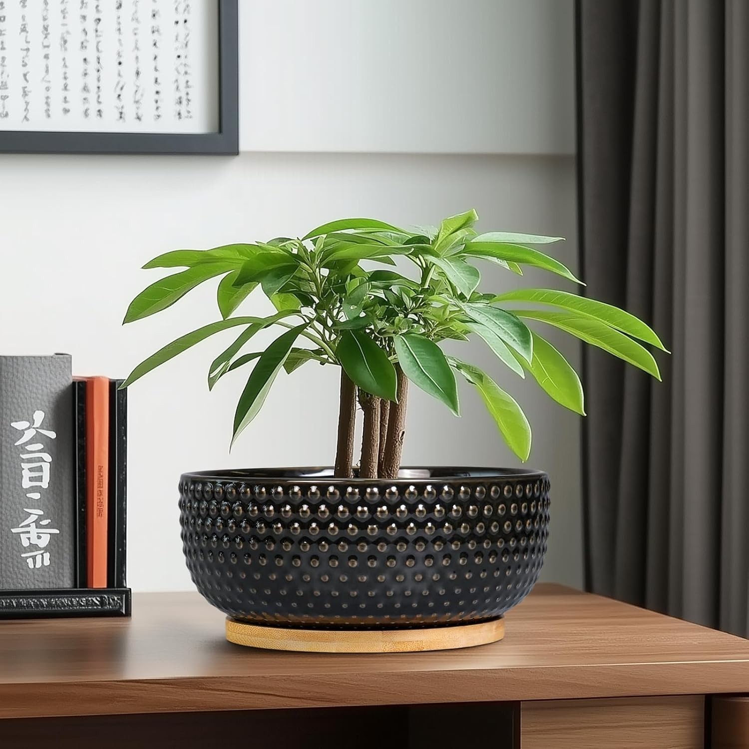 Bonsai Tree Pot – 8 Inch Ceramic Succulent Planters with 8 Inch, Black
