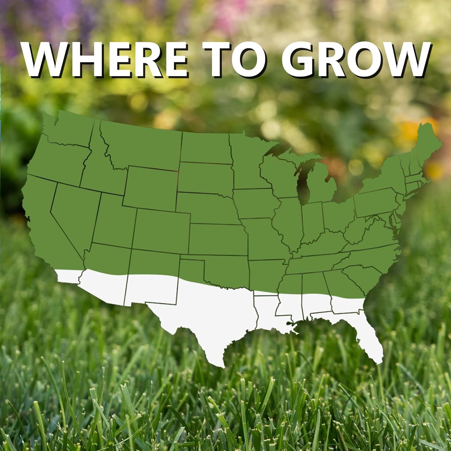 Fast Grow Grass Seed (7 lb) – Perfect for Quick Lawn Establishment & Overseeding