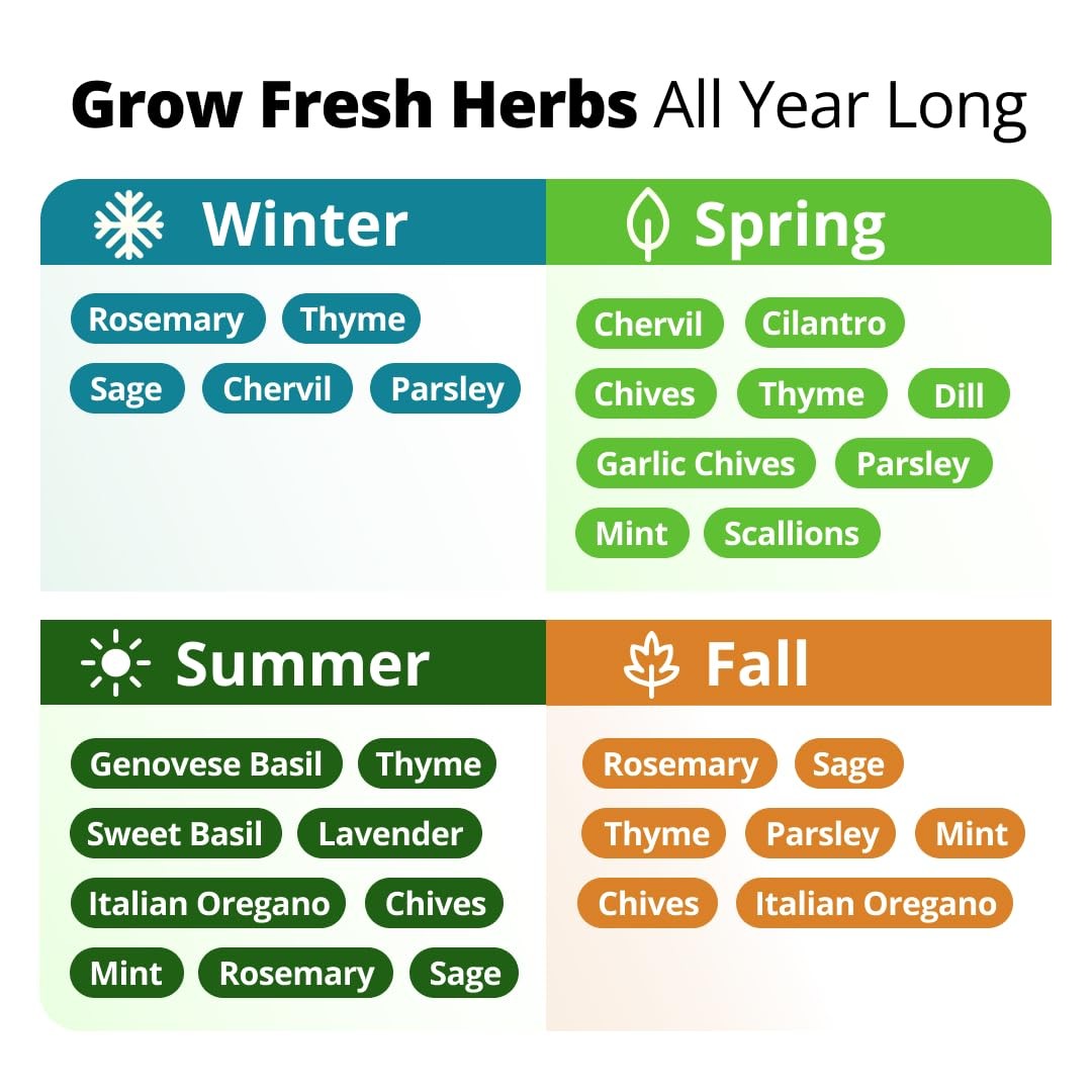 HOME GROWN Herb Seeds for Planting 15-Pack Massive Seed Count 4,300+ Seeds
