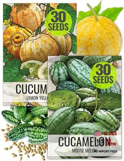 Cucamelon Seeds/Lemon Cucumber Seeds for Planting – Non Cucamelon + Lemon Cuke