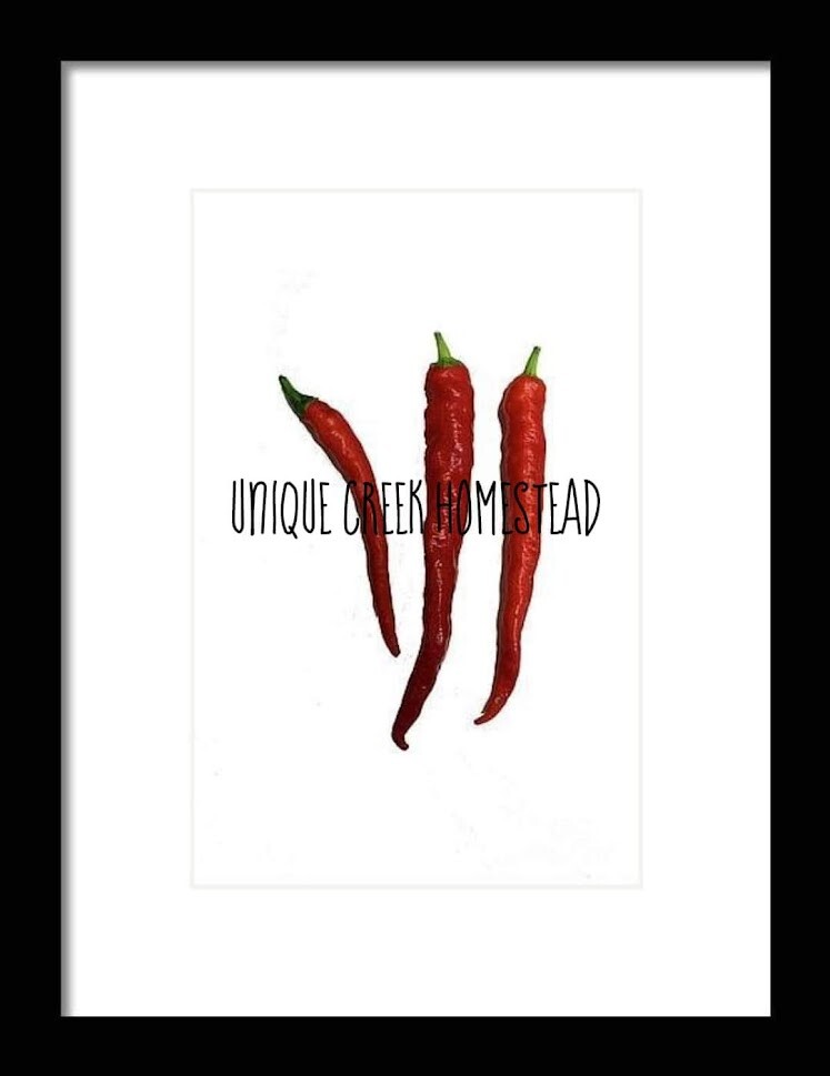 Fushimi Pepper Seeds Organically Grown Unique Creek Homestead Certified