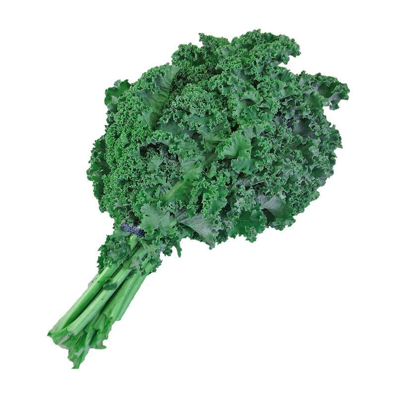 Kale 500+ Seeds Dwarf Siberian Vegetable Garden NON-GMO USA SELLER FREE SHIPPING