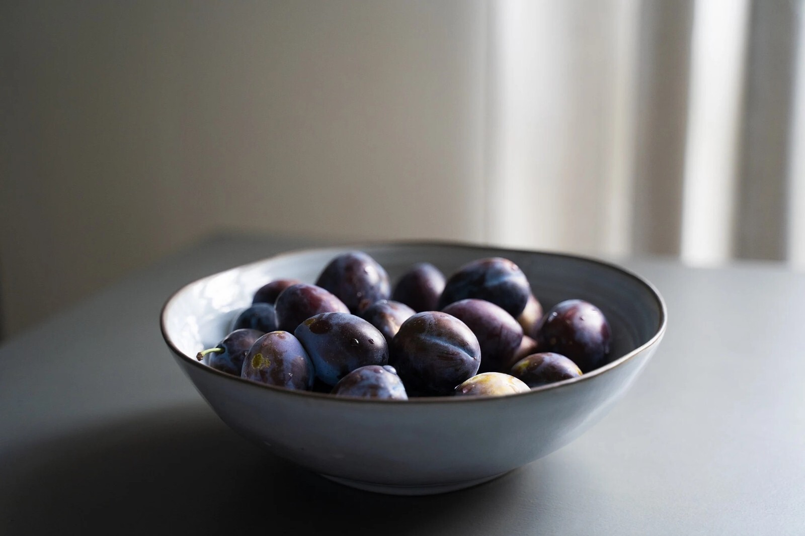 Beach Plum Seeds {Prunus Maritima} 10 Pre-Stratified Seeds | Free Shipping!
