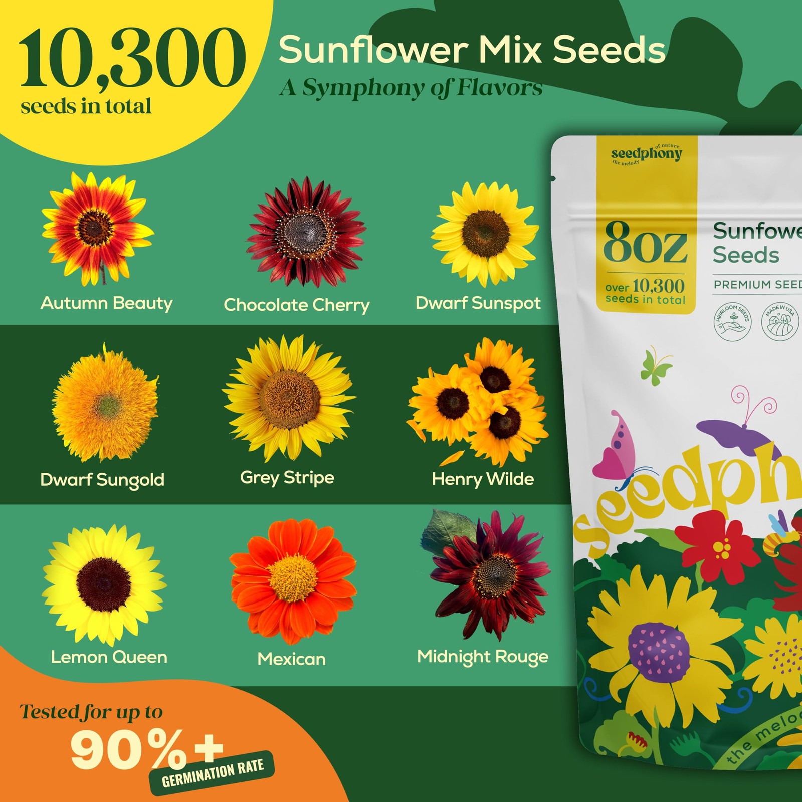 Seedphony Sunflower Mix 8oz, Red, Orange, Yellow, Purple, Dard Green