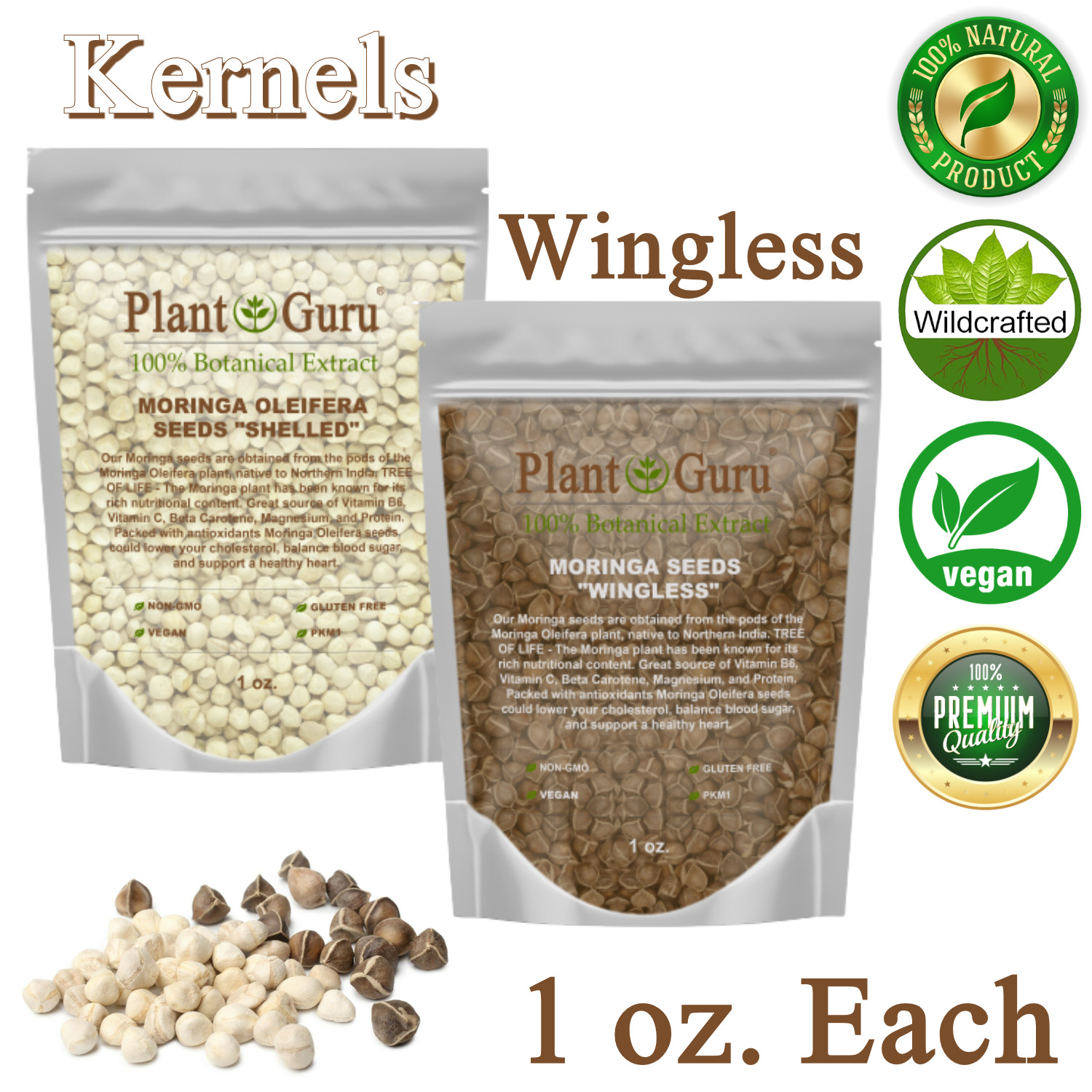 Moringa Oleifera Seeds 1 oz. Each WINGLESS & SHELLED Fresh Semillas De Moringa