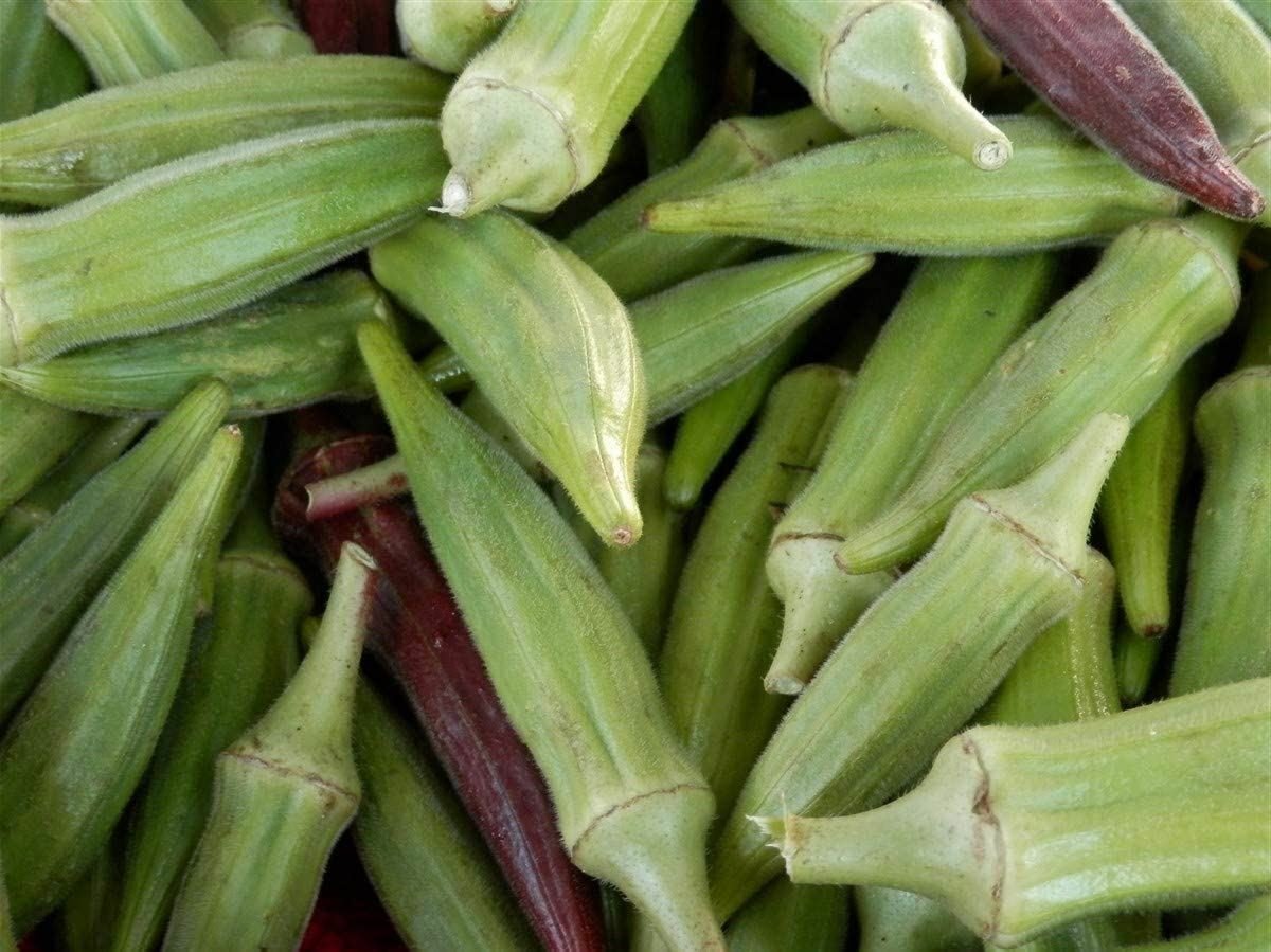 Okra Seeds, Clemson Spineless Okra Seeds, “COOL BEANS N SPROUTS” Brand. Heirloom