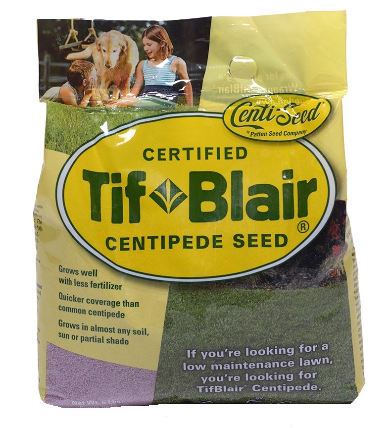 Tifblair Centipede Grass Seed (Certified) – Select Your Size