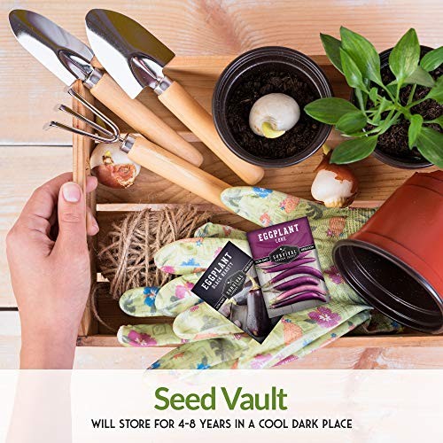 Eggplant Collection Seed Vault – Long Purple Eggplant and Black Beauty Bell