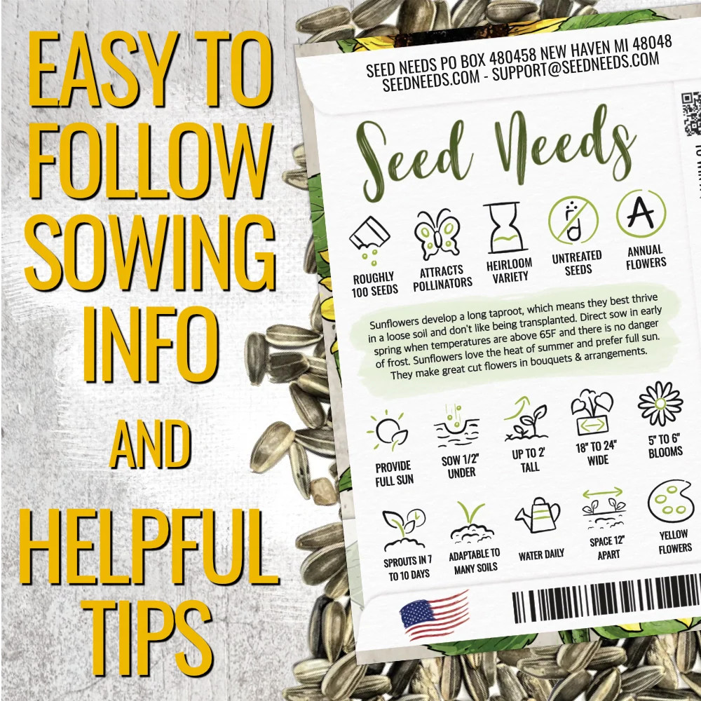Yellow Pygmy Sunflower Seeds For Planting (Helianthus annuus)