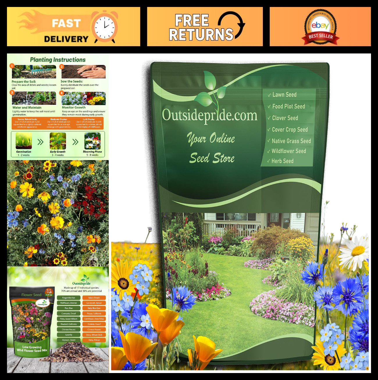 Diverse Wildflower Seed Mix – 1 lb Perennial & Annual Seeds for Colorful Garden