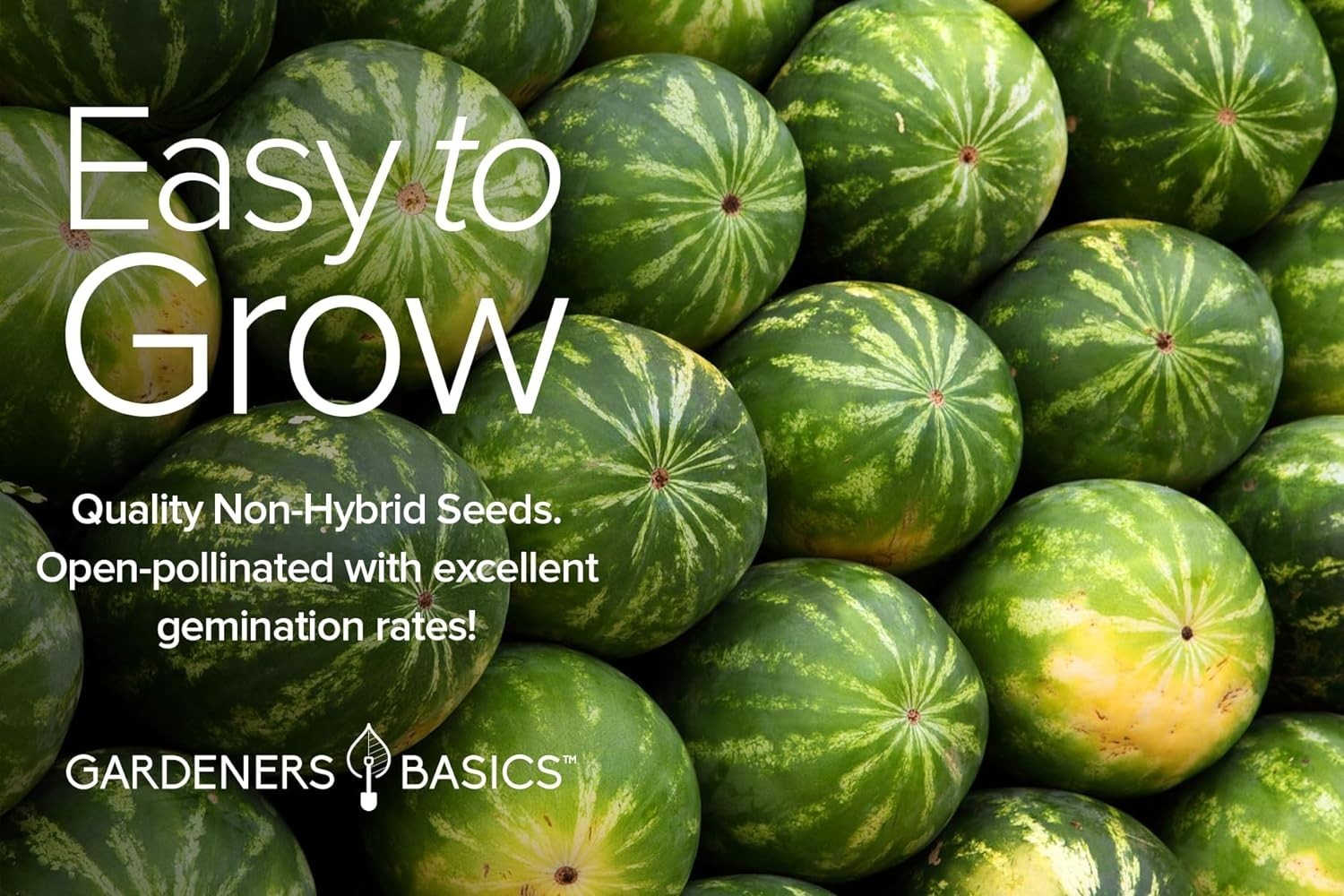 Cantaloupe, Watermelon Seed Pack
